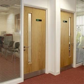 Veneered Ntoo Hluav Taws Qhov Rooj Nrog iav